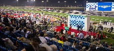 ◎ドバイワールドカップ（競馬）・メイダン競馬場　ツアー・観戦チケット手配受付中！