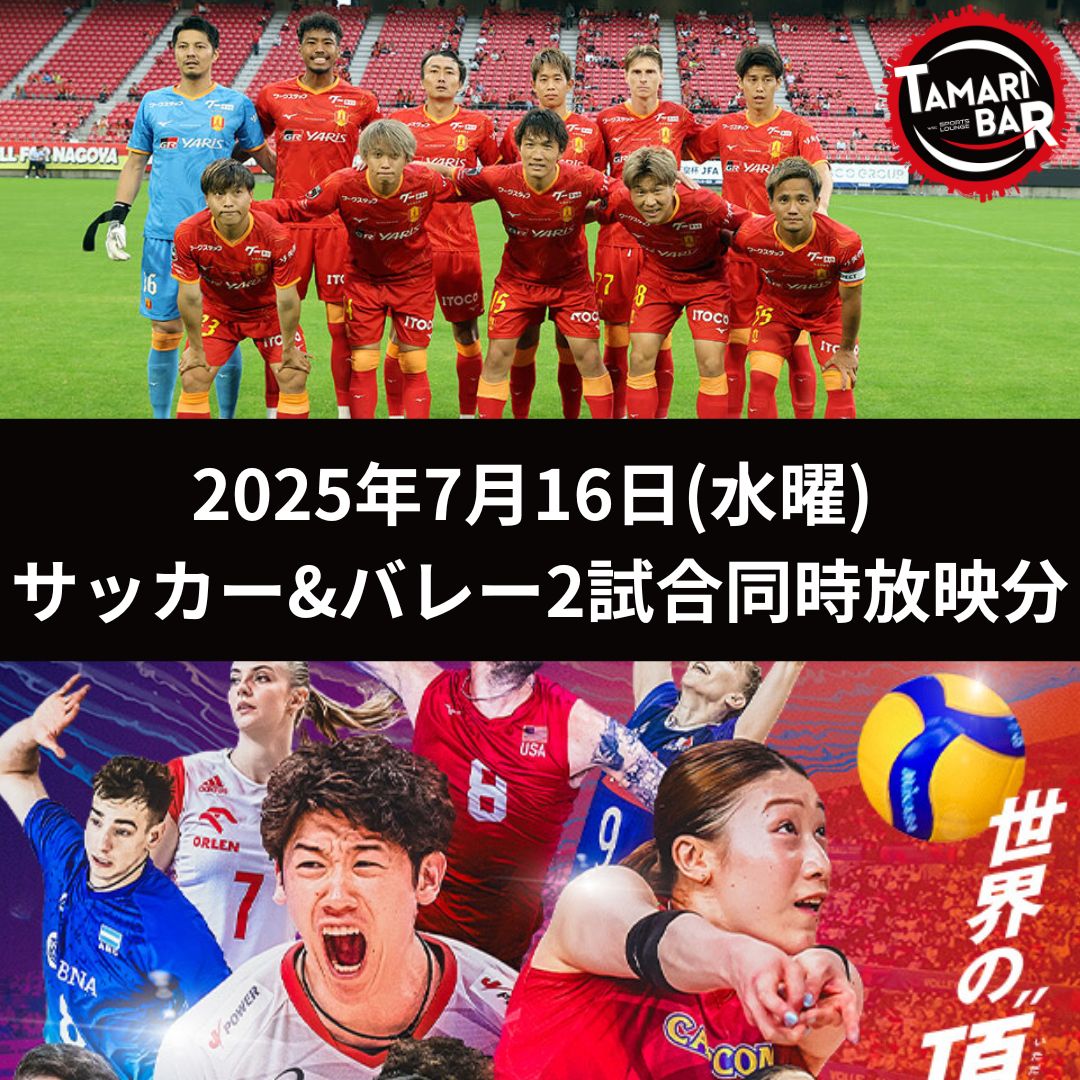 バレーボール 日本代表